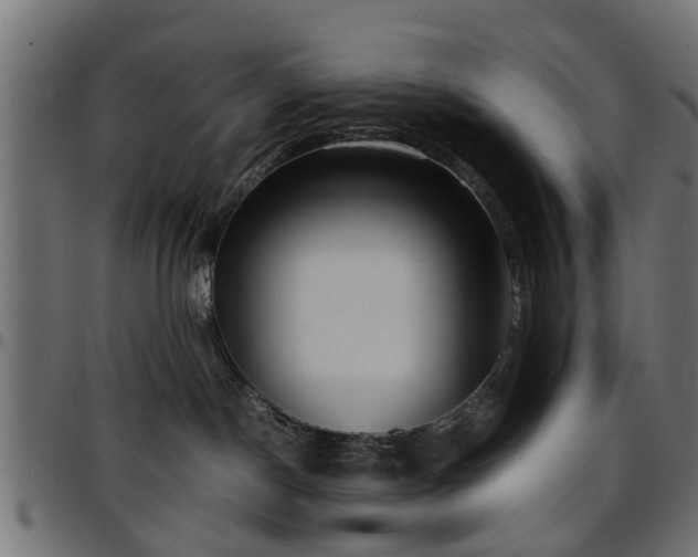 X0000096730190200802121323