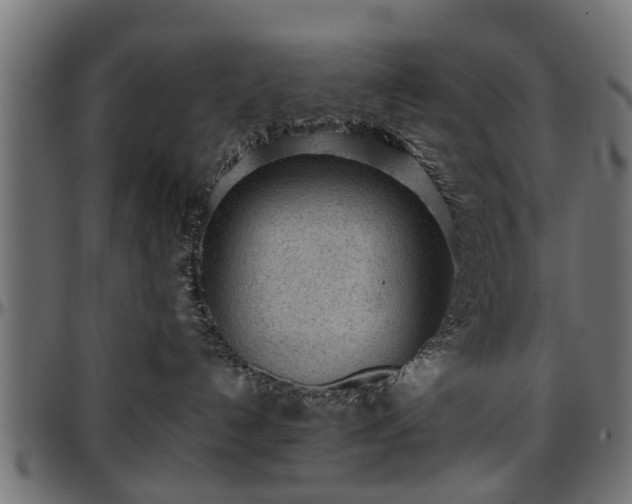 X0000096730192200802121323