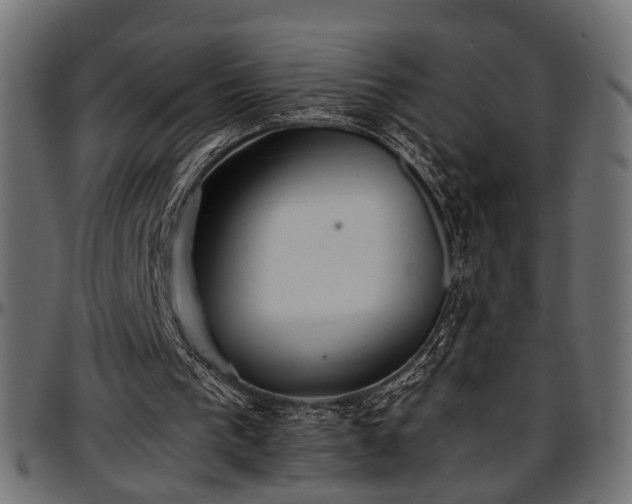 X0000096730193200802121323