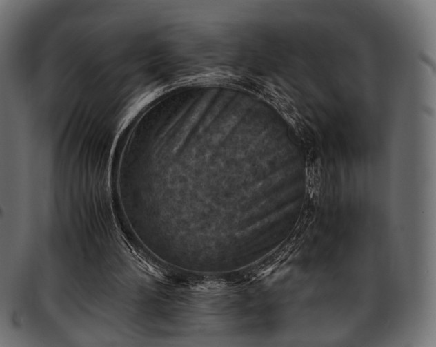 X0000096730196200802121323