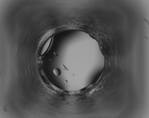 X0000096730197200802121323