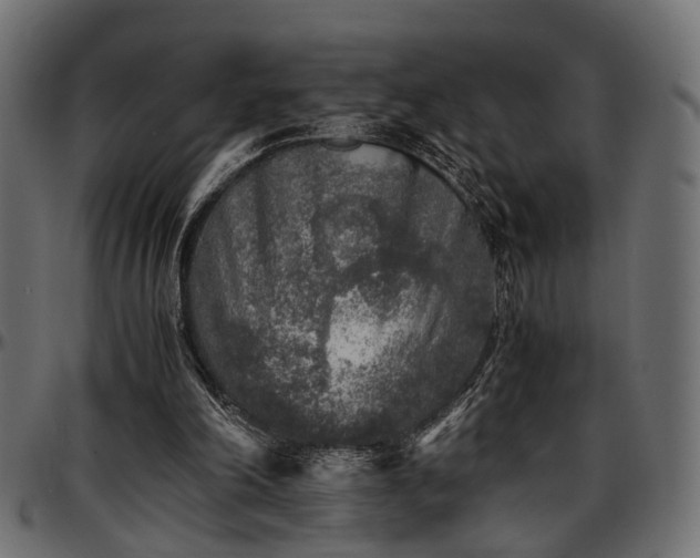 X0000096730198200802121323