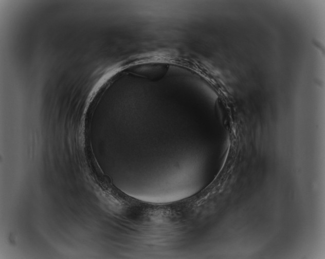 X0000096730200200802121323