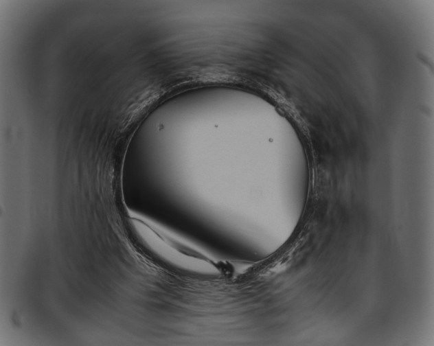 X0000096730201200802121322