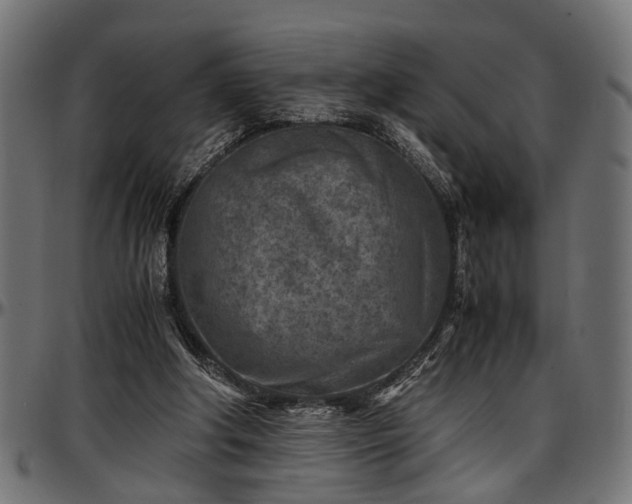 X0000096730202200802121322