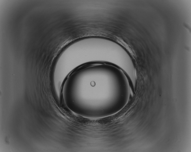 X0000096730203200802121322