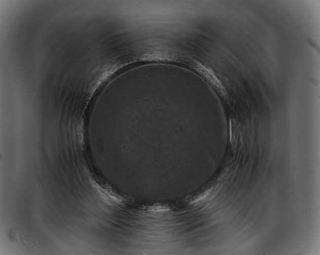 X0000096730204200802121322