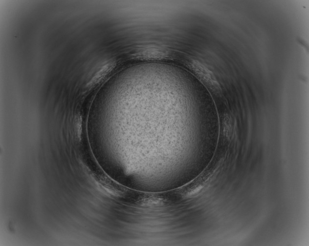 X0000096730206200802121322