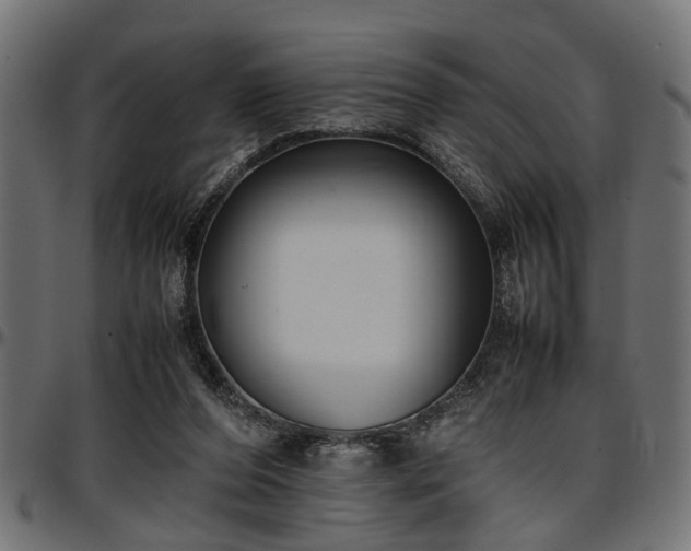 X0000096730208200802121322