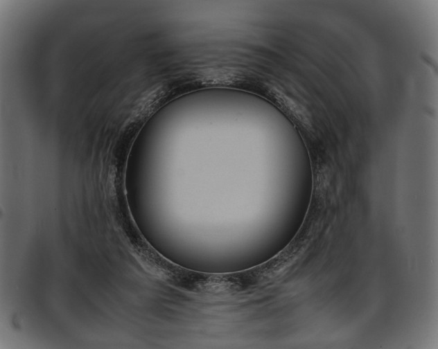X0000096730209200802121322