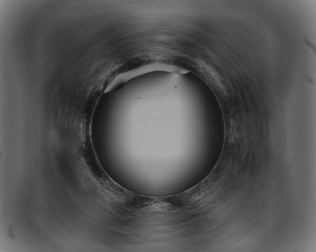 X0000096730210200802121322