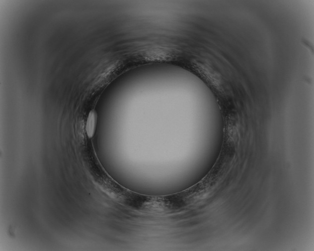 X0000096730211200802121322