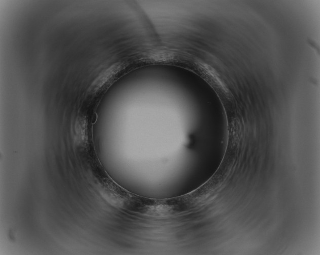 X0000096730212200802121322