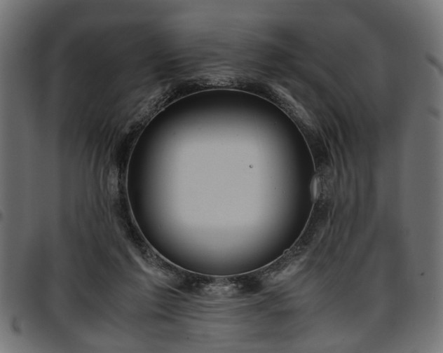 X0000096730213200802121322