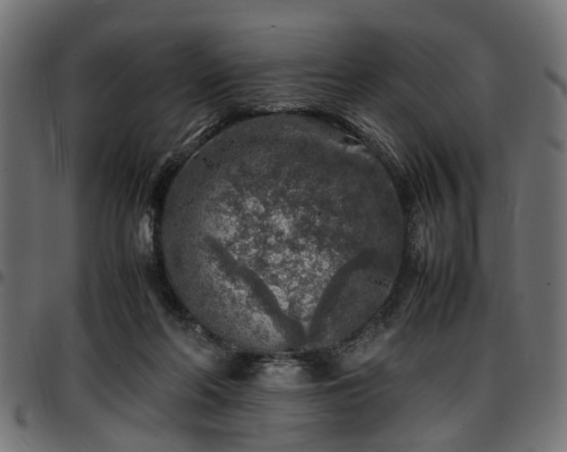 X0000096730214200802121322