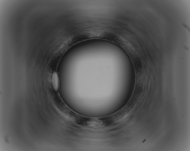 X0000096730215200802121322