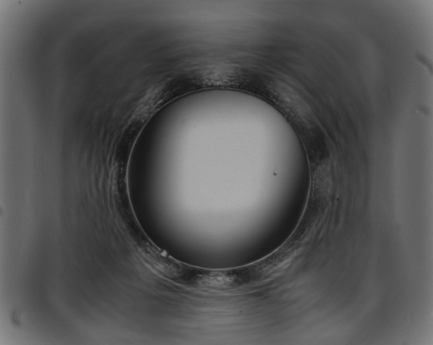 X0000096730217200802121322