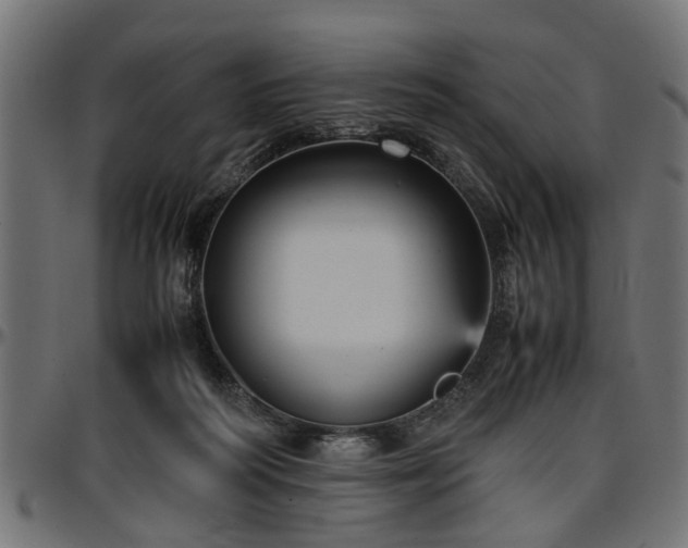 X0000096730218200802121322