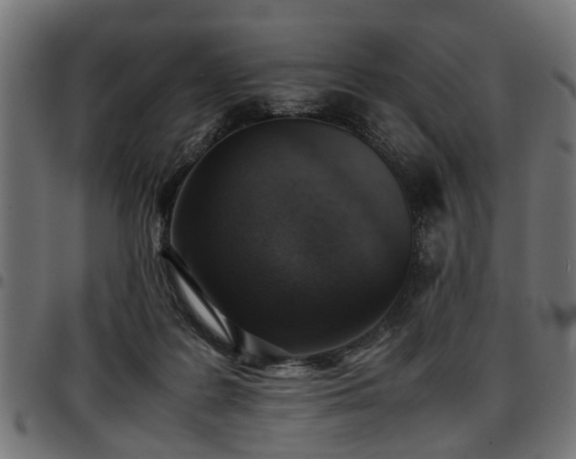 X0000096730219200802121322