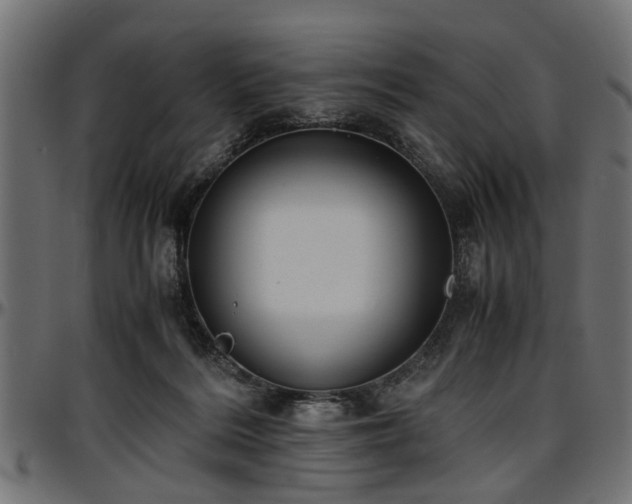 X0000096730220200802121322