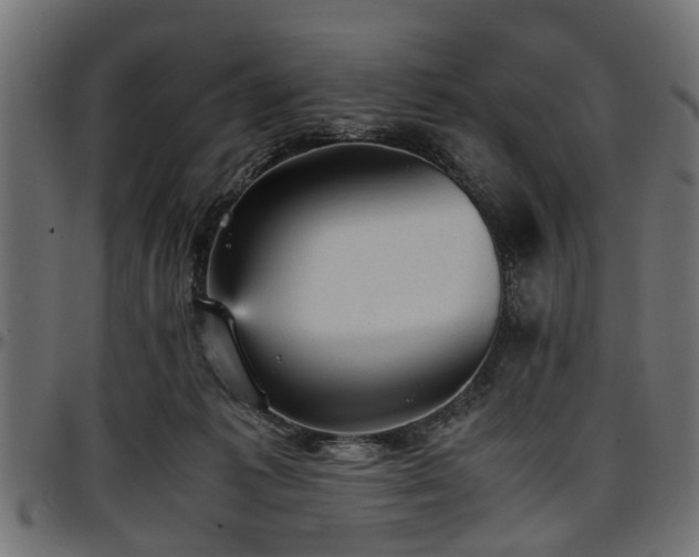 X0000096730221200802121322