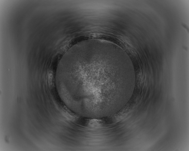 X0000096730222200802121322