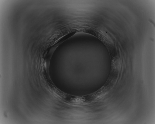 X0000096730223200802121322