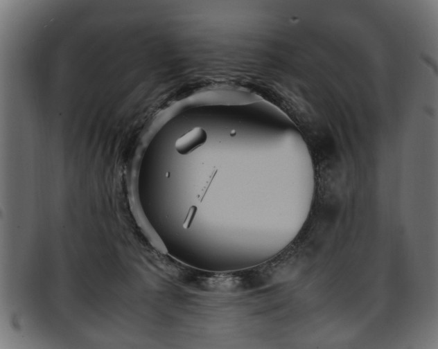 X0000096730225200802121322