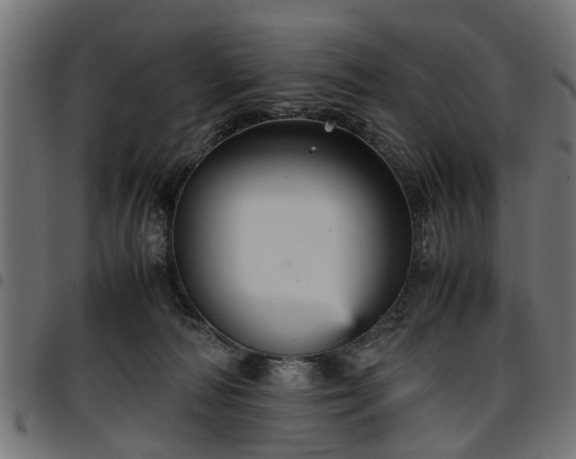 X0000096730226200802121322