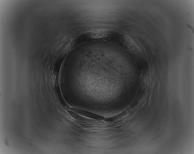 X0000096730227200802121322