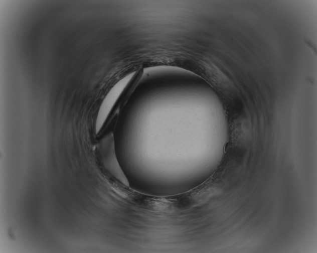 X0000096730229200802121322
