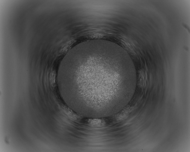 X0000096730230200802121322
