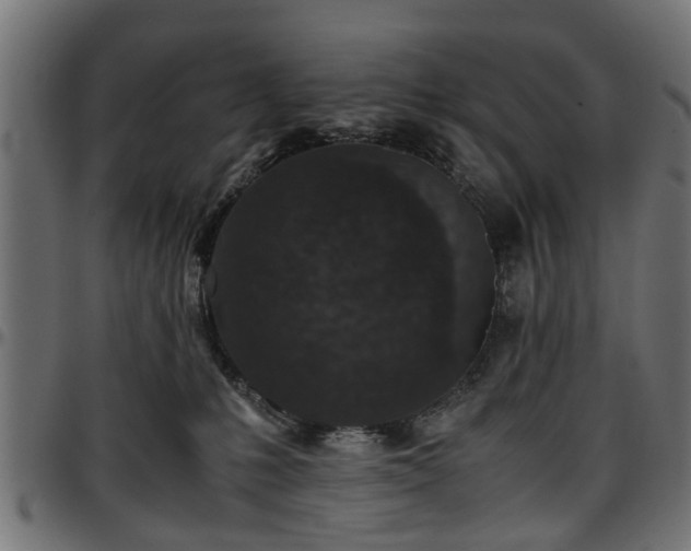 X0000096730231200802121322