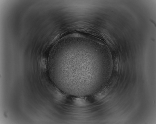 X0000096730232200802121322