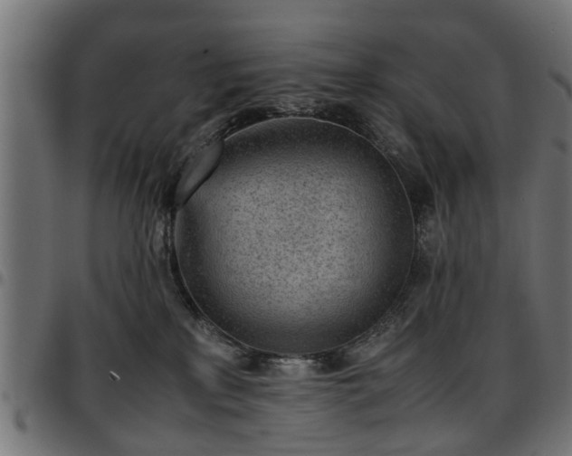 X0000096730233200802121322