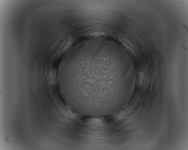 X0000096730236200802121322