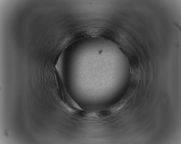 X0000096730237200802121322