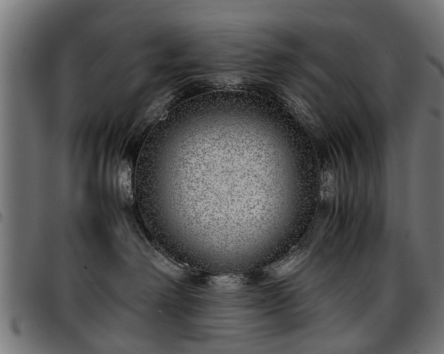 X0000096730238200802121322
