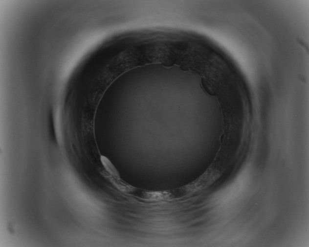 X0000096730239200802121322