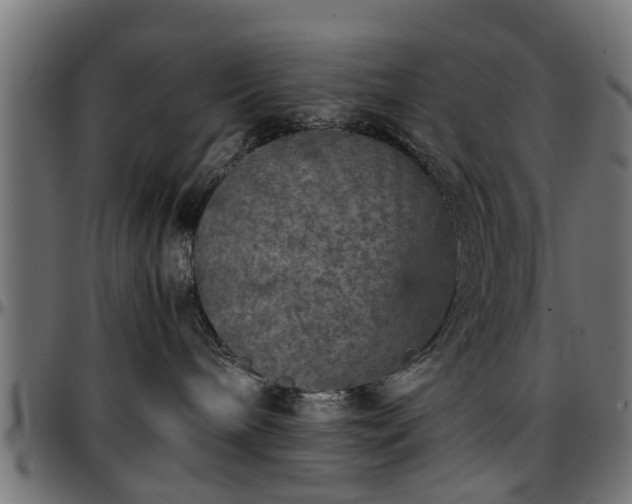 X0000096730240200802121322