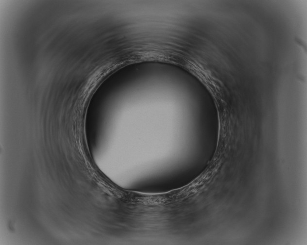 X0000096730241200802121321