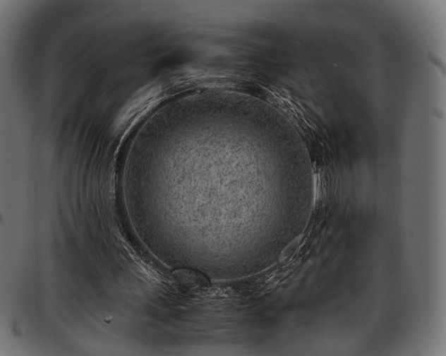 X0000096730243200802121321