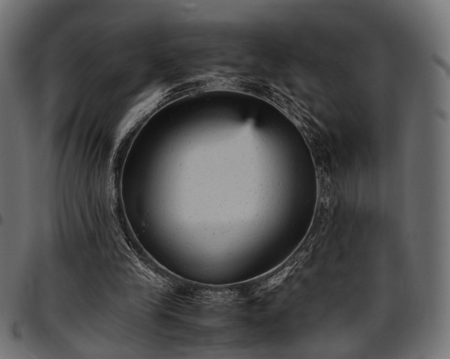 X0000096730245200802121321