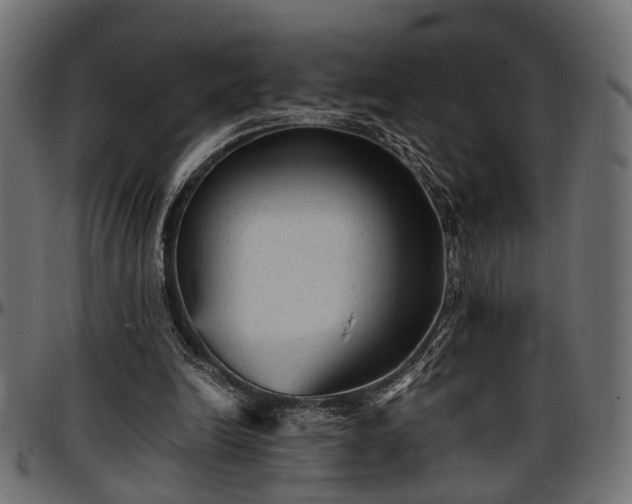 X0000096730246200802121321