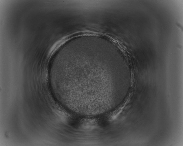 X0000096730247200802121321