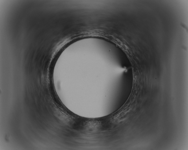 X0000096730248200802121321