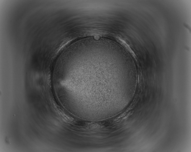 X0000096730249200802121321