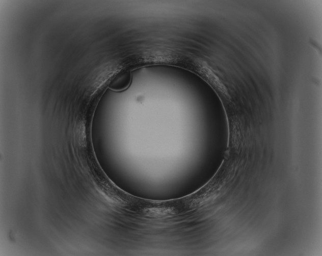 X0000096730251200802121321