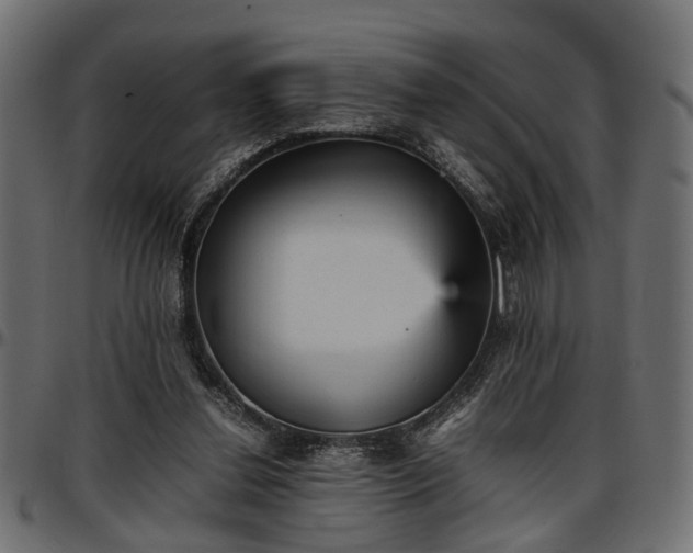 X0000096730252200802121321