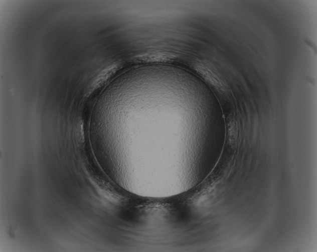 X0000096730254200802121321